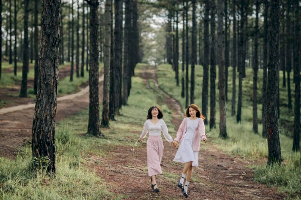 Đến Rừng Thông để lưu lại nhiều khoảnh khắc đẹp 